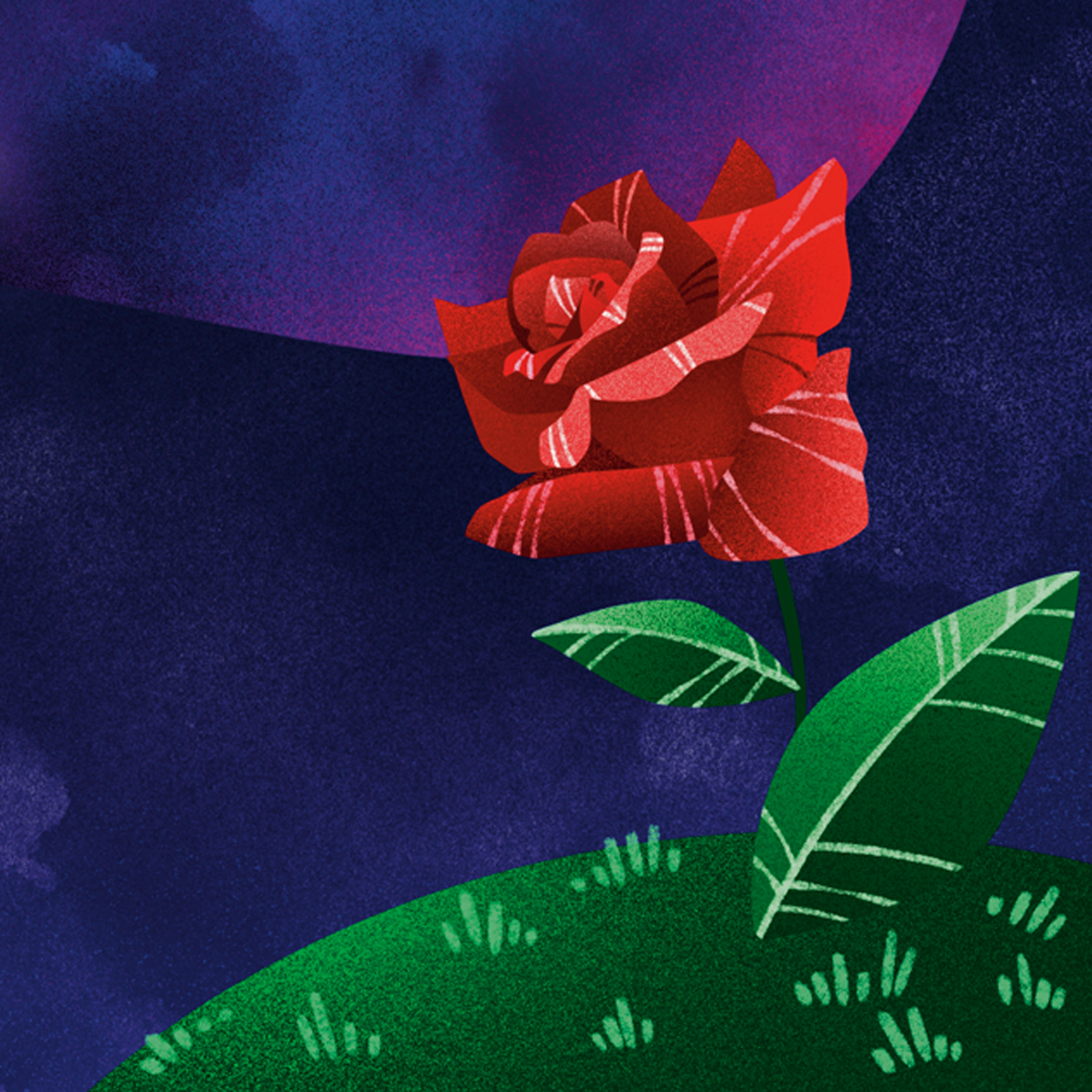 Il piccolo principe e la volpe