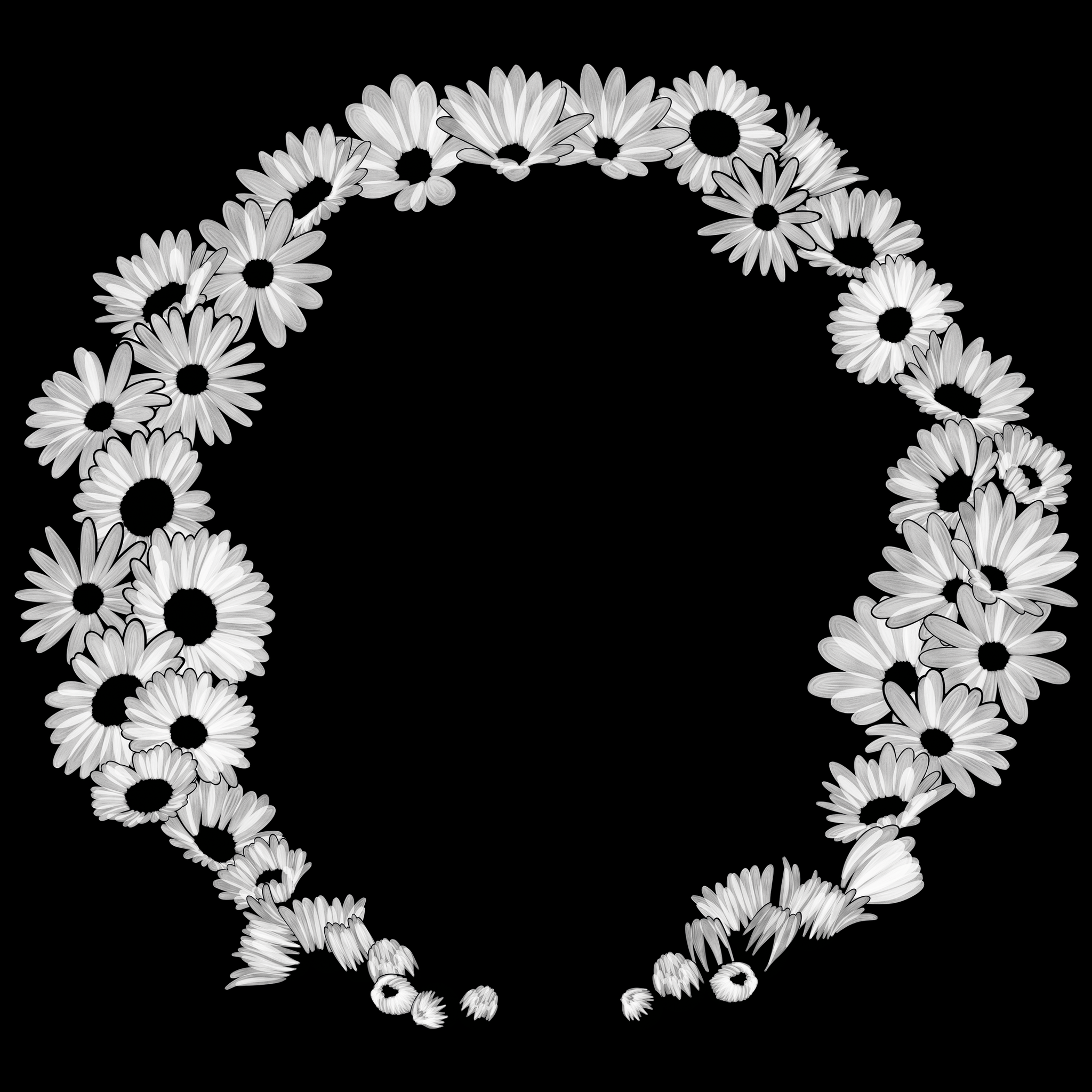 Ghirlanda di Margherite